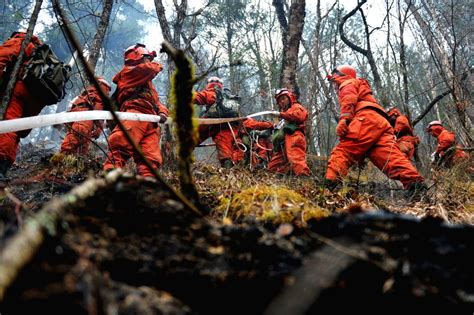 china gansu forest fire