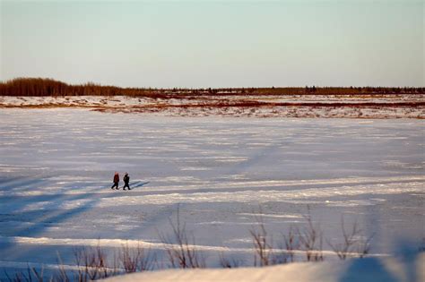 Además, cómo es su flora y los tres tipos de además, cómo es su flora y los tipos de tundra que hay. Drainase danau yang meluas di tundra merupakan tanda lain ...