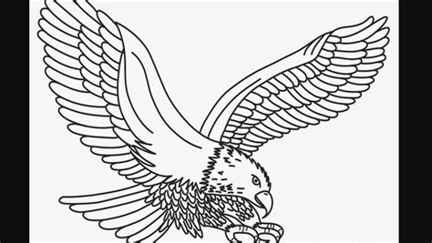 Sketsa Burung Garuda Beserta Makna Gambarnya