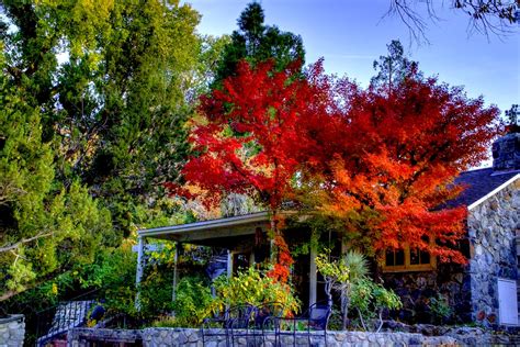 California Fall Colors Easy La Getaway To Valyermos Red Blush Los