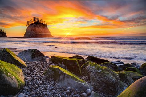5 Must See Places In Olympic National Park Camp Native Blog
