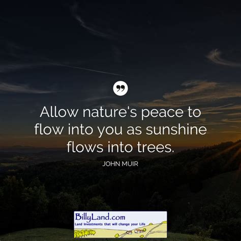 Allow Natures Peace To Flow Into You As Sunshine Flows Into Trees