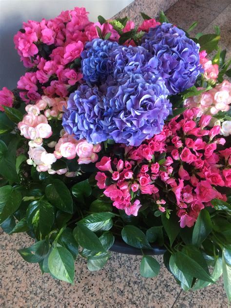 As an austin florist that offers same day flower delivery in austin we are proud to provide great service and beautiful flowers. Hydrangea flower design in Austin, Texas from ...