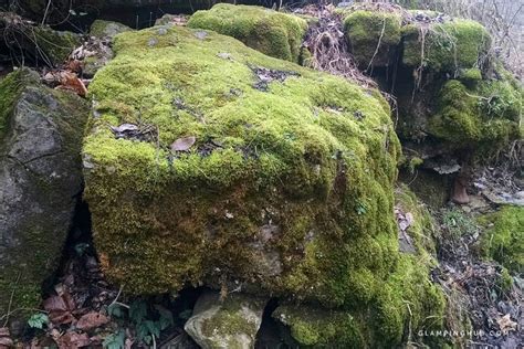 See more ideas about burgess falls state park, burgess falls, rock island state park. Camping Cabin near Burgess Falls, Tennessee