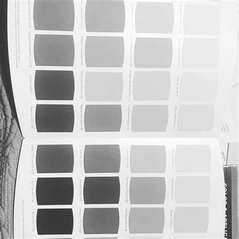 Fifty Shades Of Grey Is What I Call This Swatch Pamphlet By Behr