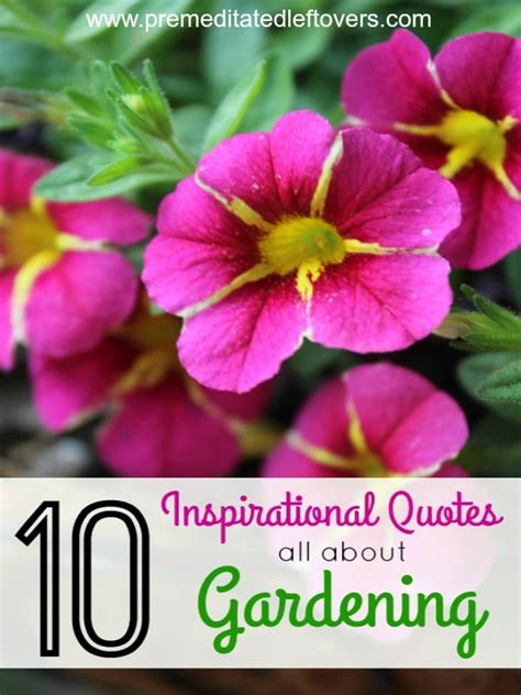 See more ideas about inspirational quotes inspirational quotes for women quotes. 10 Inspirational Quotes All About Gardening