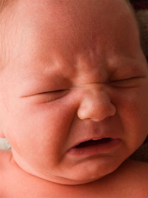 Crying Newborn Baby Stock Photo Image Of Emotion Hungry 3094900
