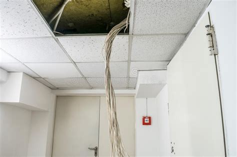A Bunch Of White Wires Hang From The Suspended Ceiling Communication
