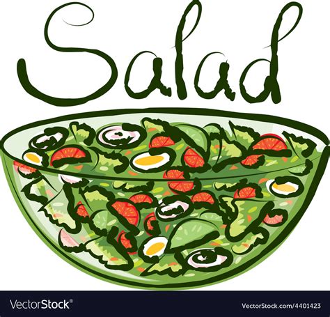 Salad Royalty Free Vector Image Vectorstock