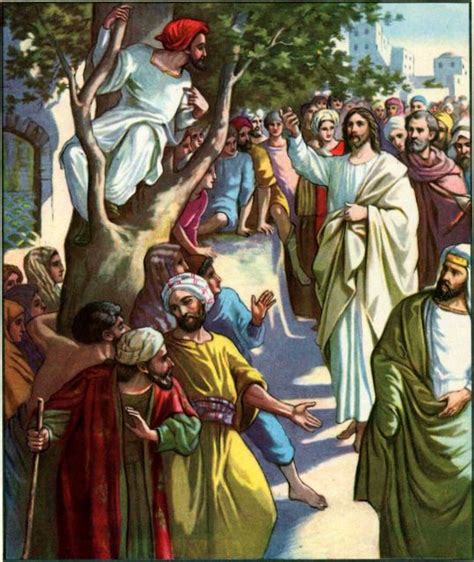 Zacchaeus The Tax Collector Eternal Vigilance