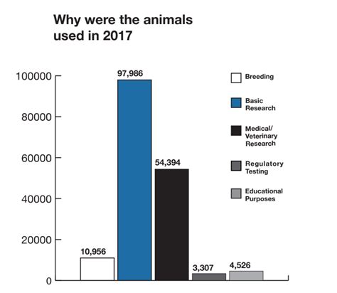 Ubc Experimented On Over 170000 Animals In 2017 Heres How And Why