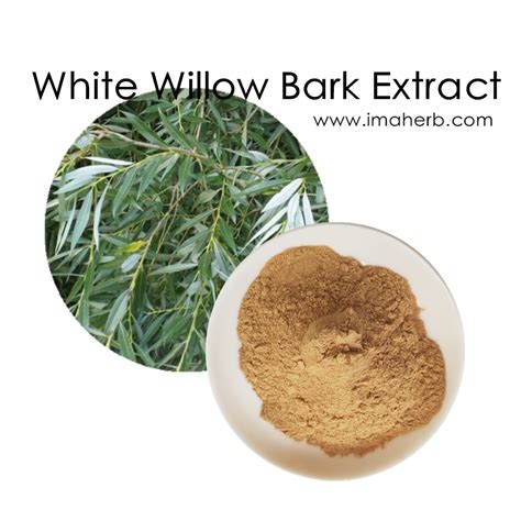 White Willow Bark Extract Salicin Salicoside