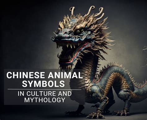 Chinese Animal Symbols Learn The Spiritual Meanings
