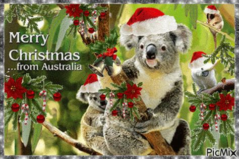 Merry christmas and happy new year winter greeting card background with xmas decoration merry christmas and happy new year winter greeting card background with xmas decoration elements objects including present, pine tree branches, bells, star, ball, poinsettia flower, hat and cookies on old green texture with snowflakes. Merry Christmas from Australia - PicMix