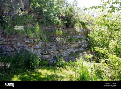 Canadian Shield Hi Res Stock Photography And Images Alamy