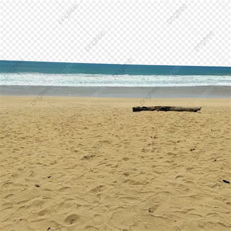 Areia Na Praia PNG Mar Período De Férias Verão Imagem PNG e PSD Para Download Gratuito