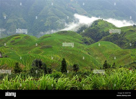Ping An Rice Terraces Longsheng Longji Guilin China Ping An Rice
