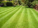 Images of Lawn Mower Repairs Sheffield