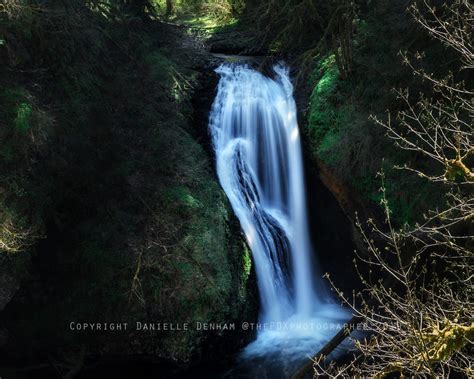Hike To Butte Creek Falls In Oregon