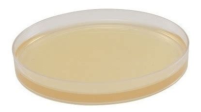 The addition of starch to mueller hinton agar ensures that toxic factors found during growth will be absorbed, and its presence is often essential to establish growth from very. Agar Mueller-Hinton. 20 placas. - SanilaboShop