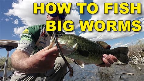 Common techniques used in reading fish finders. How To Fish Big Worms (the Best Ways) | Bass Fishing ...