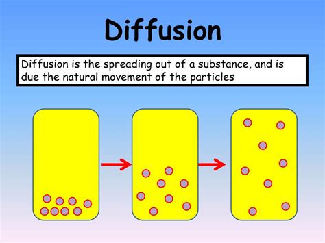What Is Diffusion In States Of Matter