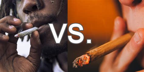 Whats The Difference Between A Joint And A Blunt Natural Mystic Pre