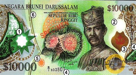 Brunei Banknotes Explore Your Banknotes