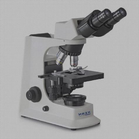 Los Mejores Microscopios Optico Monocular Y Binocular Opiniones