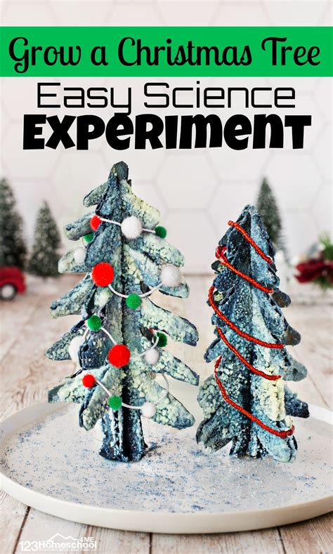 Easy Grow A Christmas Tree Science Project