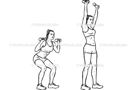 Dumbbell Squat Thrusters Squat To Overhead Press Workoutlabs