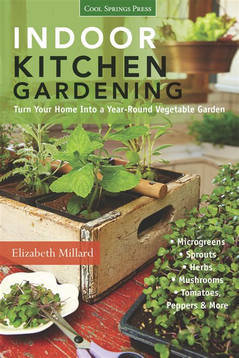 Grow An Indoor Kitchen Garden Hgtv
