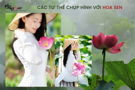 Top 15 Các Tư Thế Chụp ảnh Với Hoa Sen Siêu đẹp