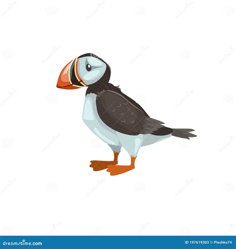 Puffin Bird Cartoon Flat Design Vector Illustration Of Arctic Bird