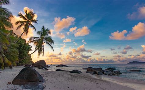 Download wallpaper 3840x2400 beach, palm trees, sea, nature, landscape ...