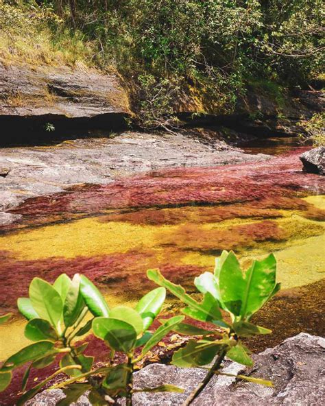 Qué Hacer En Llanos Orientales De Colombia Sitios Turísticos