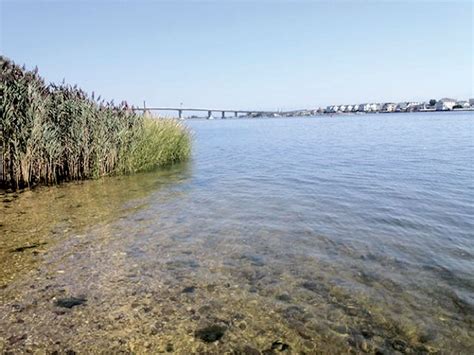 The Two River Times Five Things Towns Can Do To Keep The Navesink