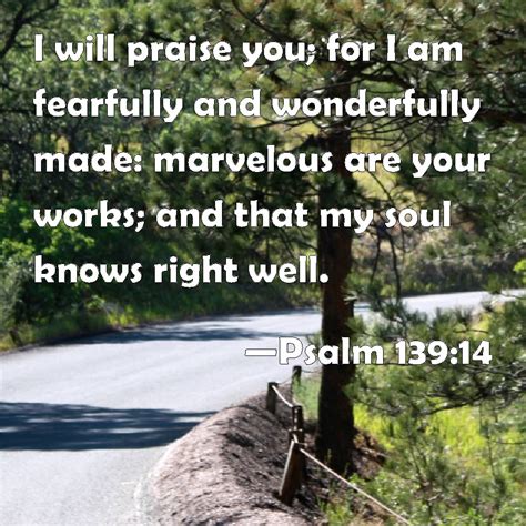 Psalm 139 14 I Will Praise You For I Am Fearfully And Wonderfully Made