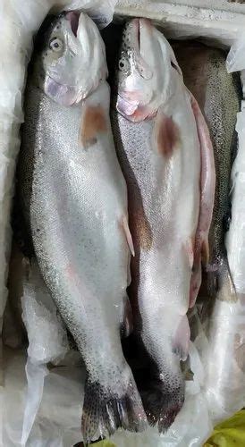 Himalayan Rainbow Trout At Rs 740kg Rainbow Trout In New Delhi Id