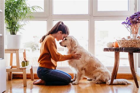 New Dog Owner Start By Meeting Your Dogs Basic Needs