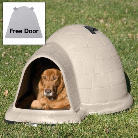 Igloo Dog Houses For Sale Orchids Plants