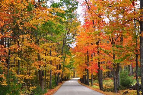 Best Places To See The Fall Foliage In Montgomery County