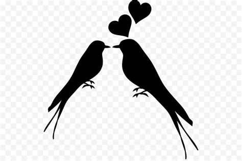 Love Birds Vector Png Clip Art Library