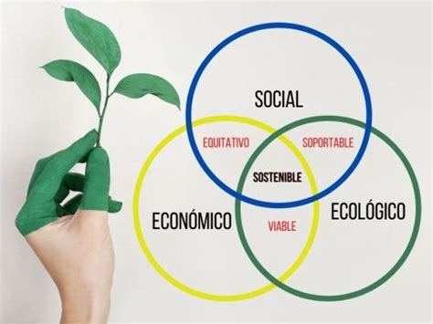 Desarrollo Sustentable Qué Es Concepto Y Definición Enciclopedia