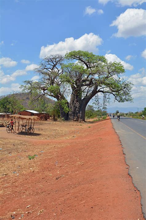 Malawi Central Region On The M5 National Road South At Chipoka Huge