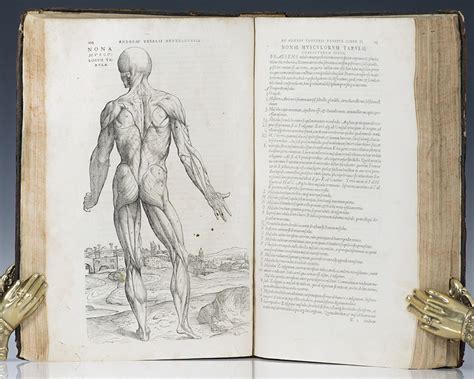 De Humani Corporis Fabrica Libri Septem Vesalius First Edition