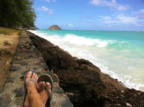 Cabin rentals here boast easy access to the area's beaches and attractions, and winter visitors flock to the pro surfing competitions at waimea, pipeline. kick back island style - Picture of Bellows Air Force ...