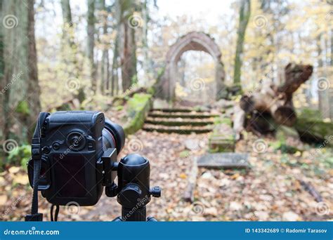 Camera On A Tripod In The Woods Stock Image Image Of Plant Digital