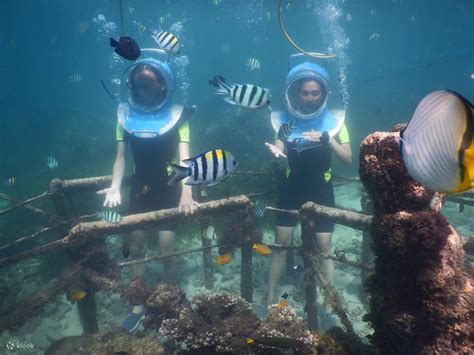 tanjung benoa watersports experience in bali klook india