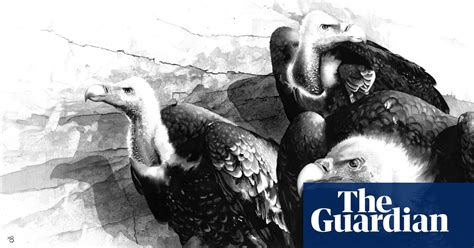 Wildlife Artist Of The Year In Pictures Environment The Guardian